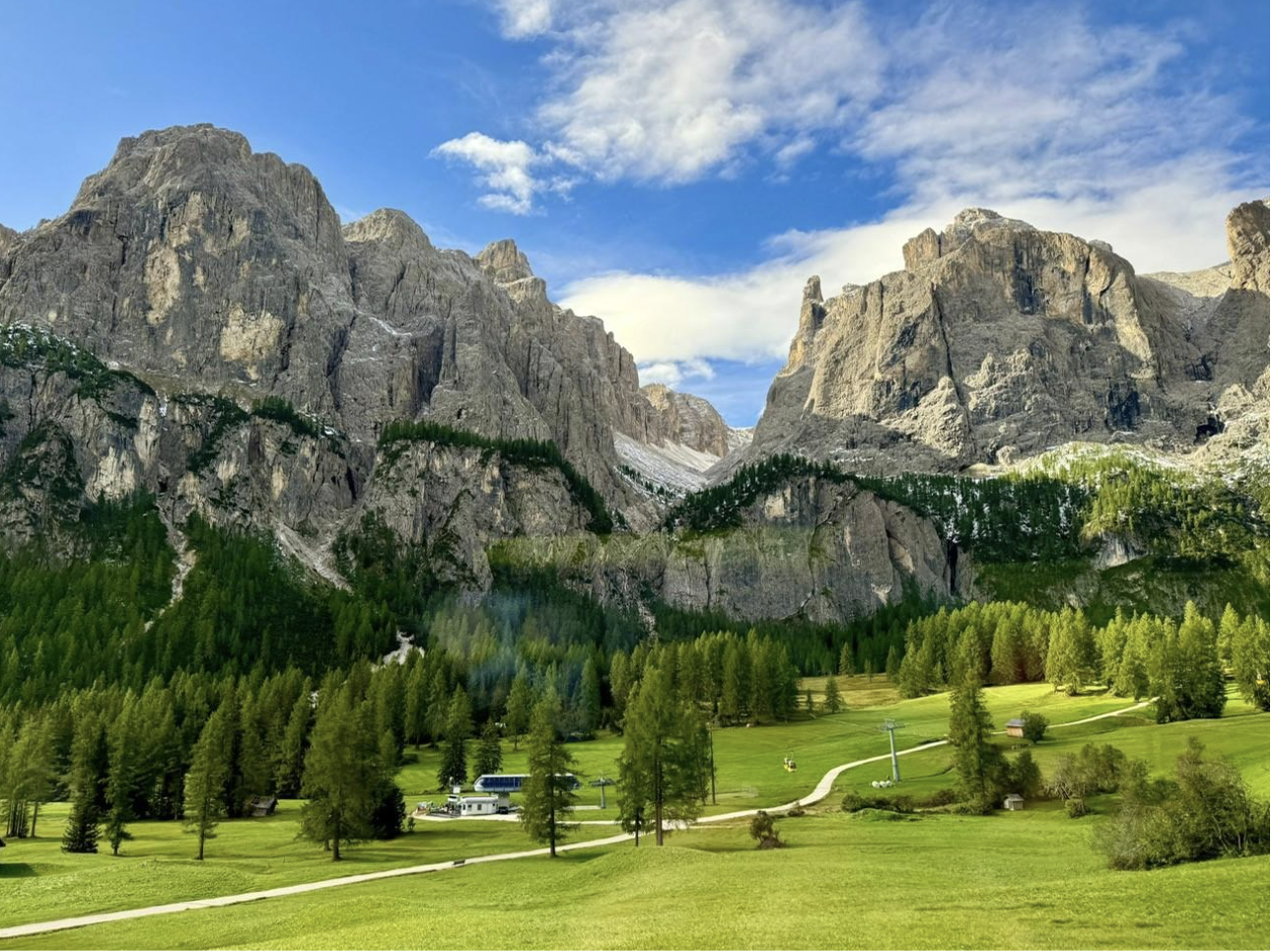 A green field with trees and mountains on a sunny beautiful day in the Dolomites in Italy.